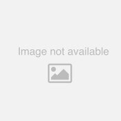 Pleated Filt 12/CS